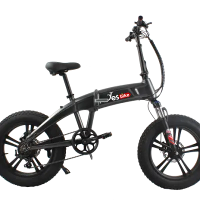 VULCANO S-TYPE 250W 36V BLACK – Bicycle Store