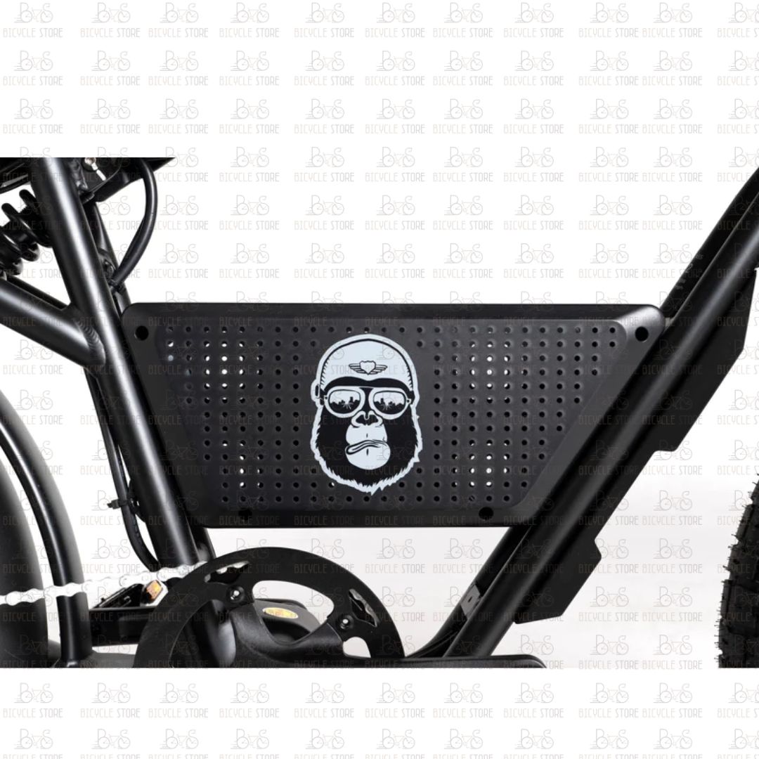 BICICLETTA ELETTRICA APERYDER BONOBO 750W 48V - immagine 5