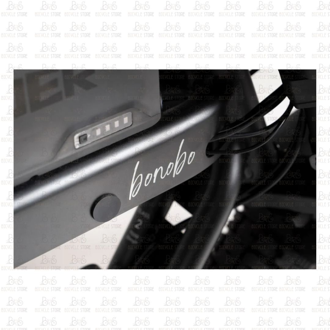 BICICLETTA ELETTRICA APERYDER BONOBO 750W 48V - immagine 4