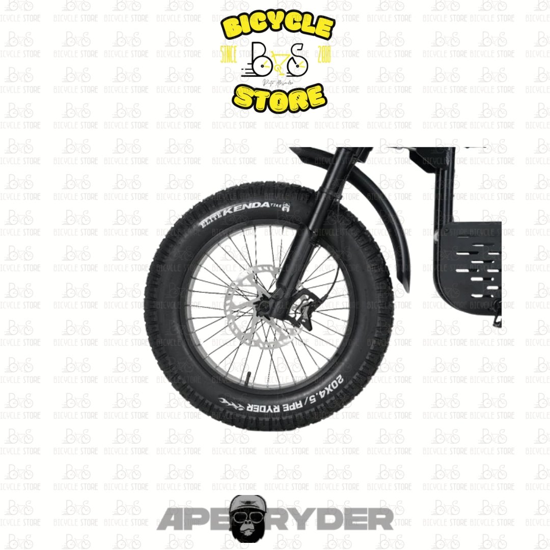 BICICLETTA ELETTRICA FATBIKE APERYDER GIBBON 250W 48V 20AH BLACK - immagine 3
